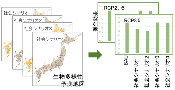 シナリオの保全効果の評価