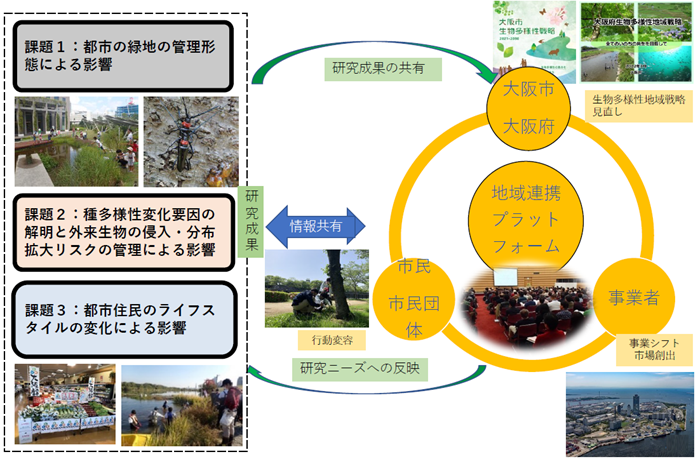 地域連携プラットフォームの構築と連携