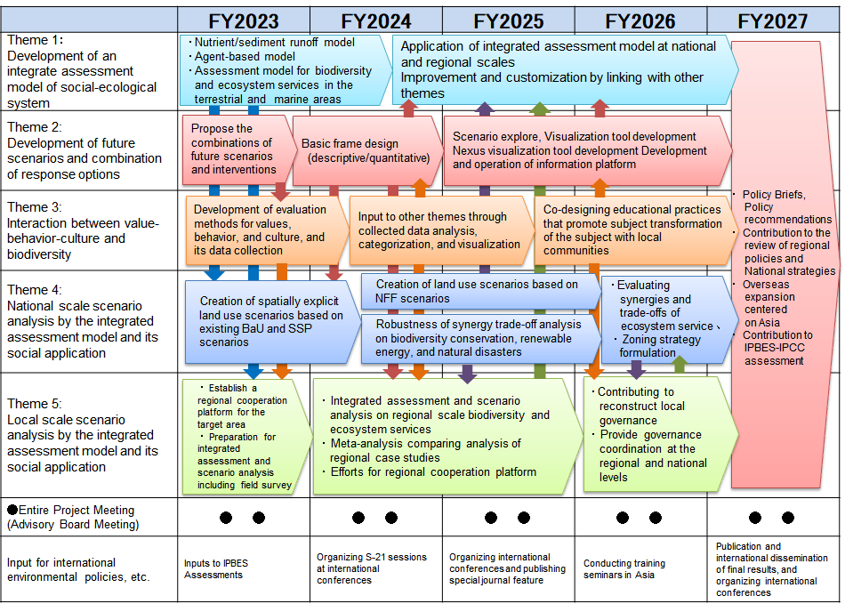 Timeline